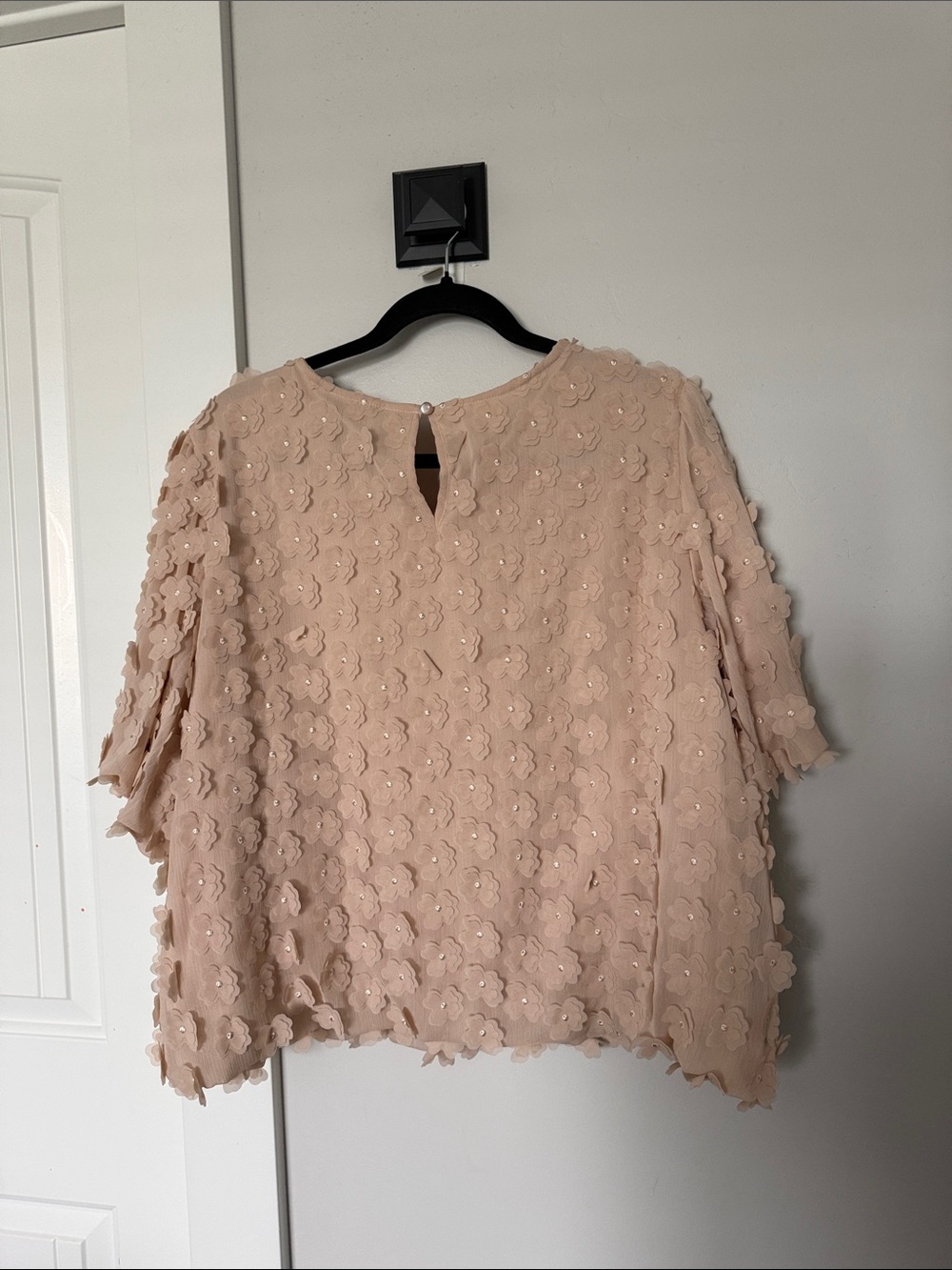 Adrianna Papell Blush Pink 3D Floral Appliqué Blouse - Picture 4 of 4